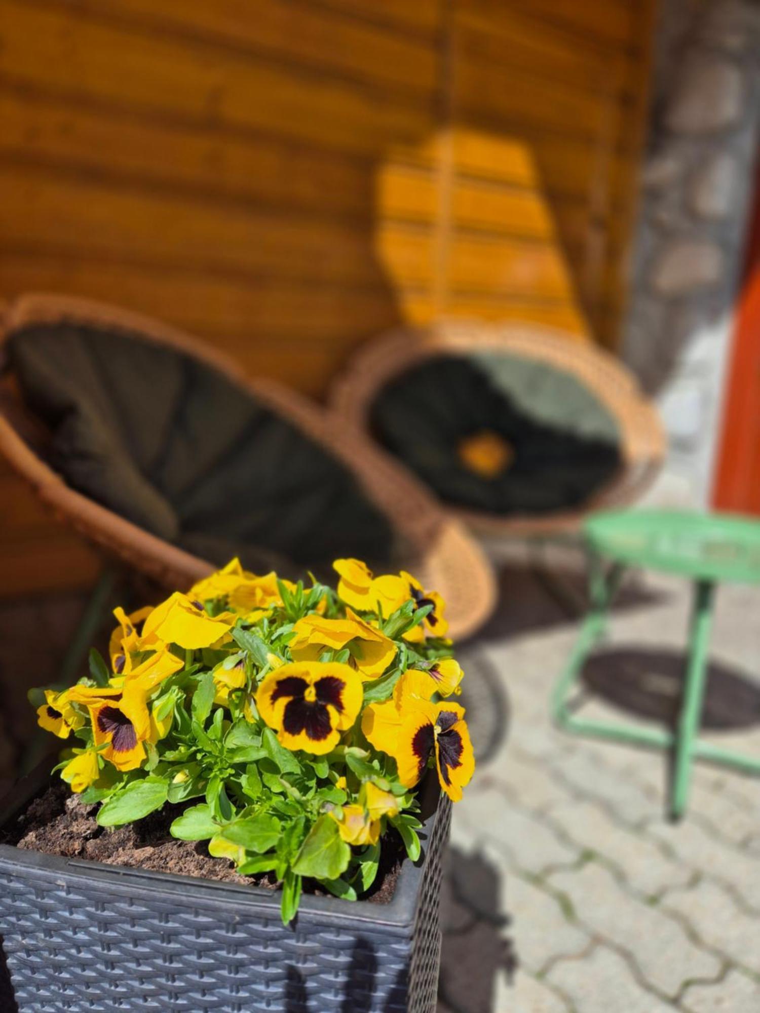 U Parow Sauna & Jacuzzi Białka Esterno foto